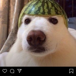 Meet your Posher, Jack